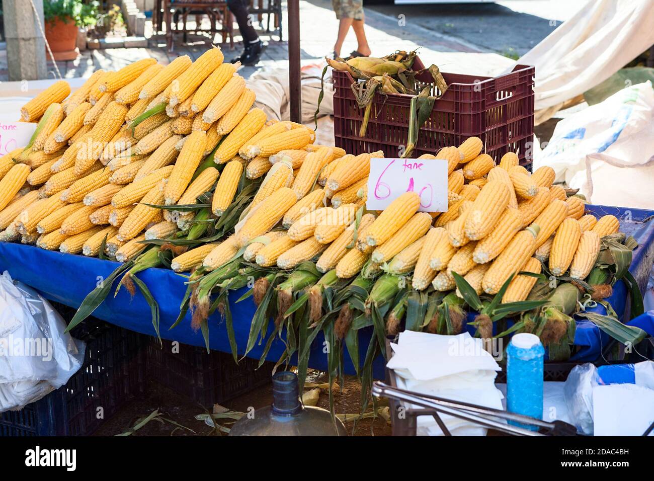 Die Maiskolben der Reihe sind im Stall zu verkaufen. Obst- und Gemüsemarkt ist in Alanya, Türkei Stockfoto