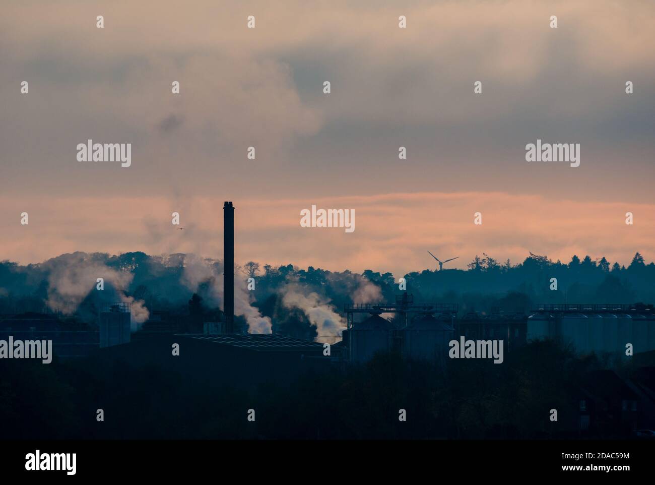 Dampf steigt bei Sonnenuntergang von Pure Malt Fabrik gegen einen rosa Himmel, Haddington, East Lothian, Schottland, Großbritannien Stockfoto