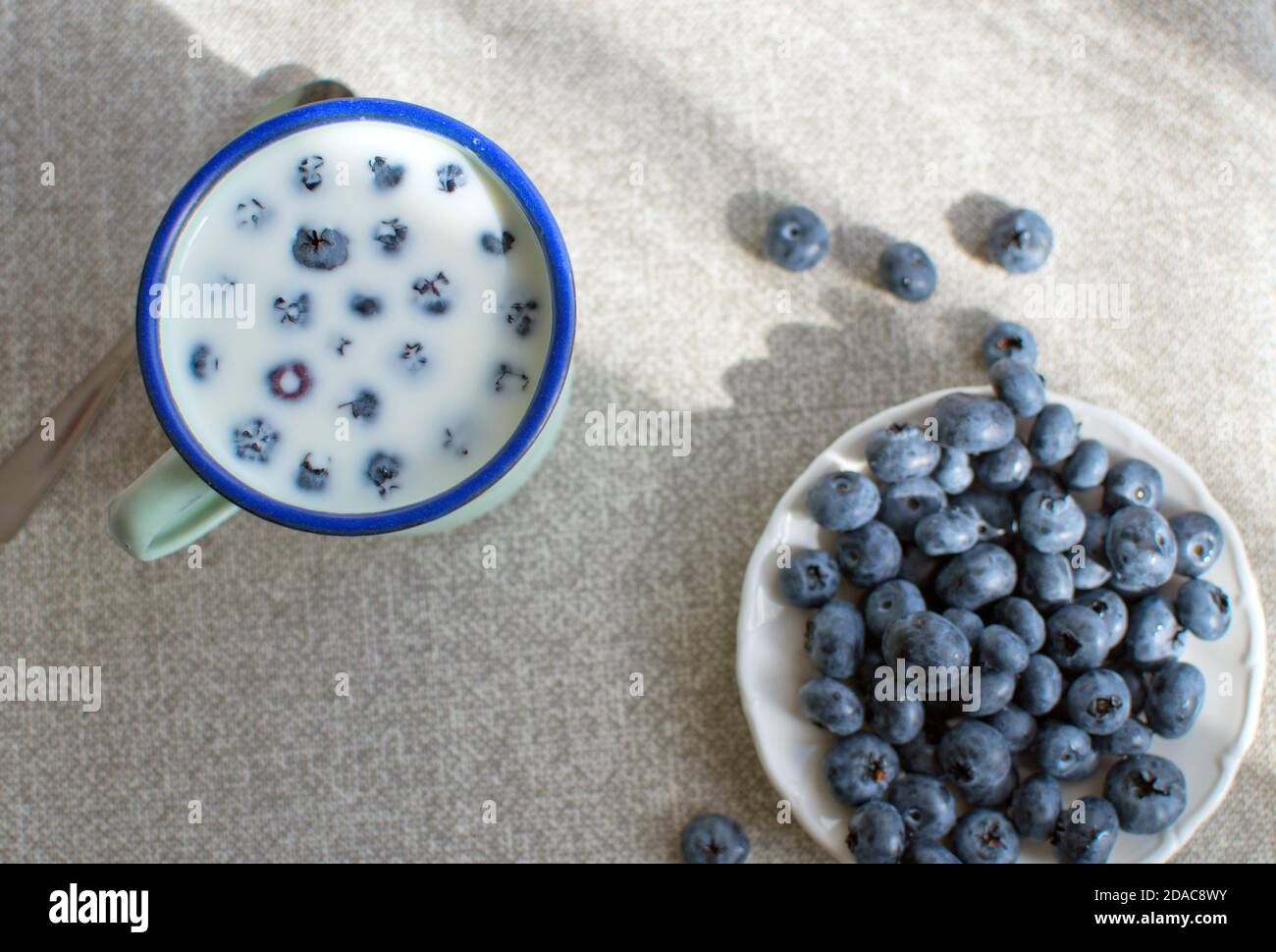 Emaillierter Becher mit Milch und Blaubeeren Stockfoto