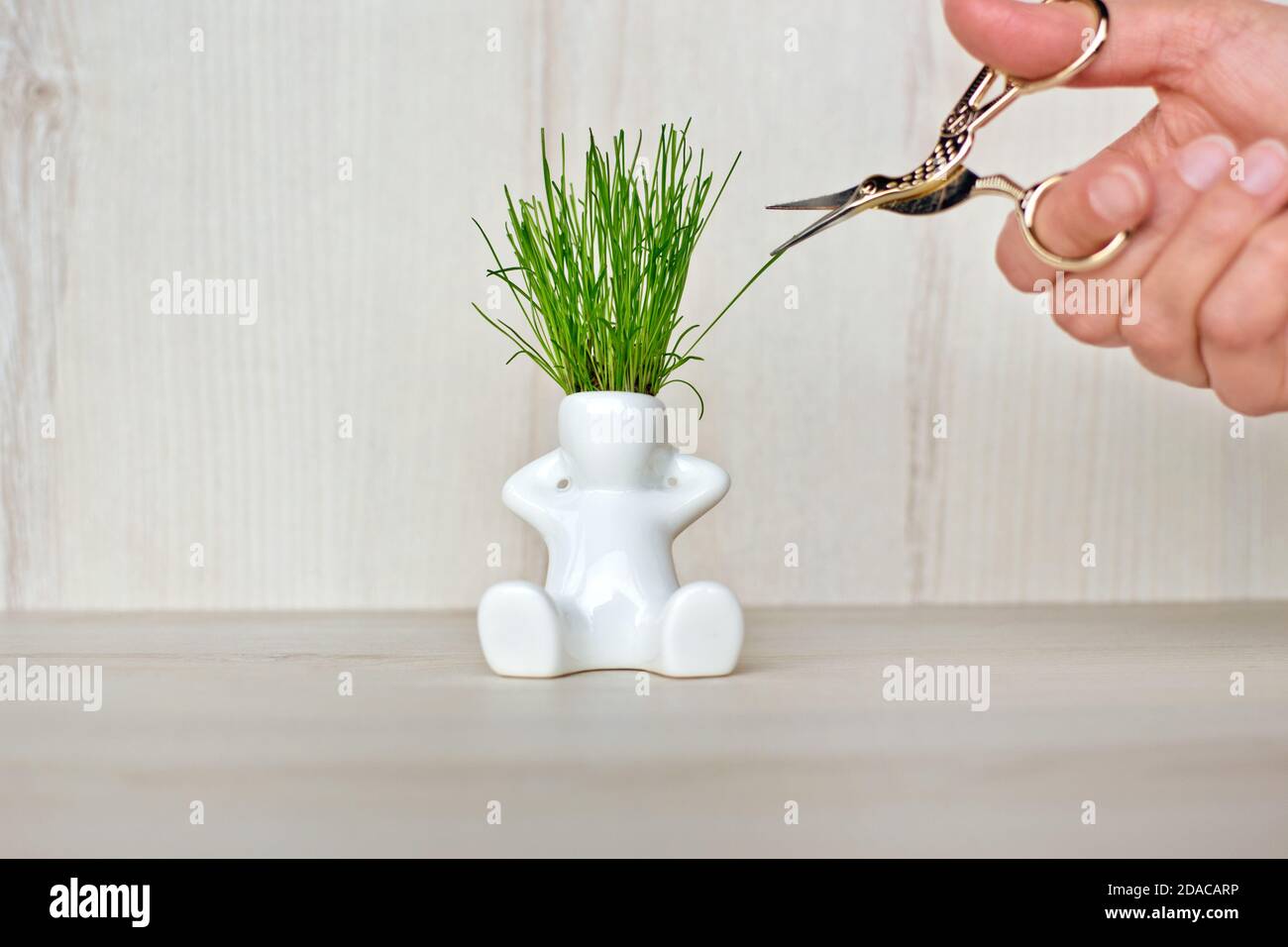 Weiße Keramik Figur des Menschen mit wachsenden frischen Gras aus Sein Kopf sitzt auf einer hölzernen Oberfläche, während die Weibchen Hand nehmen Macht ihn Frisur mit Schere Stockfoto
