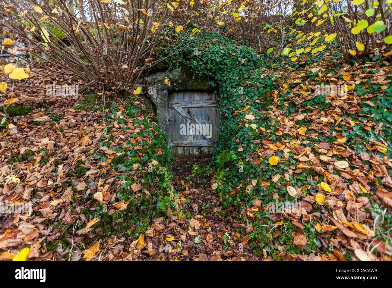 Zoigl-Beer Lagerung im Steinkeller in Falkenberg, Deutschland Stockfoto