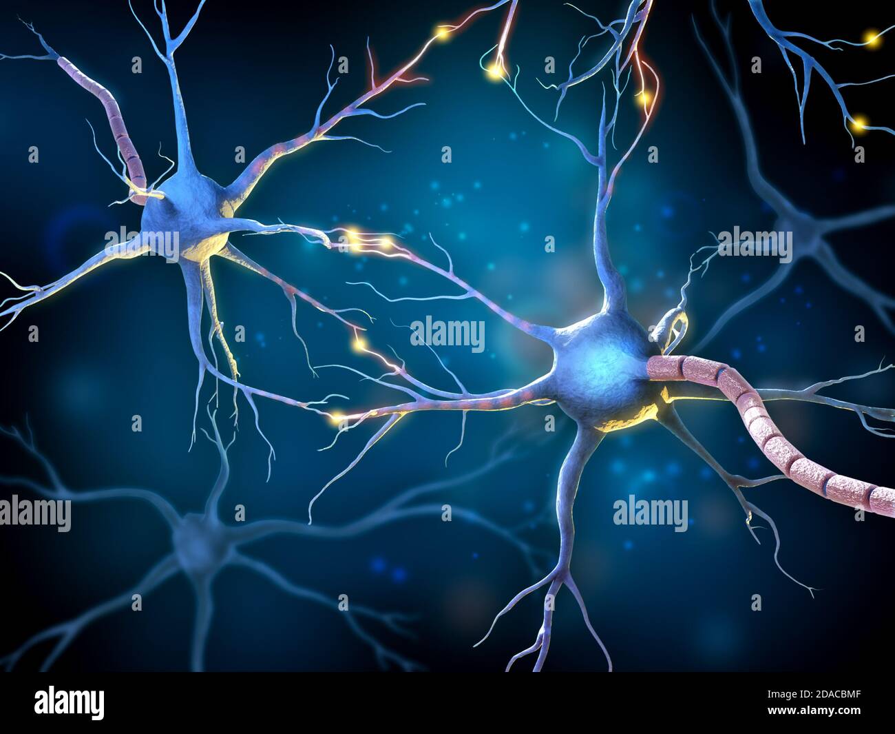 Netzwerk von multipolaren Neuronen mit glühenden Rezeptoren. 3D-Illustration. Stockfoto