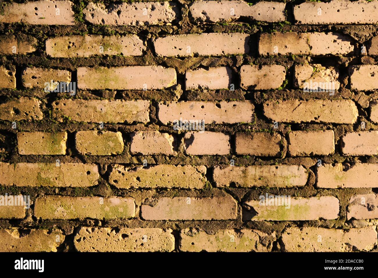 Alte Backsteinmauer. Rötliche Backsteinmauer eines alten Gebäudes Stockfoto