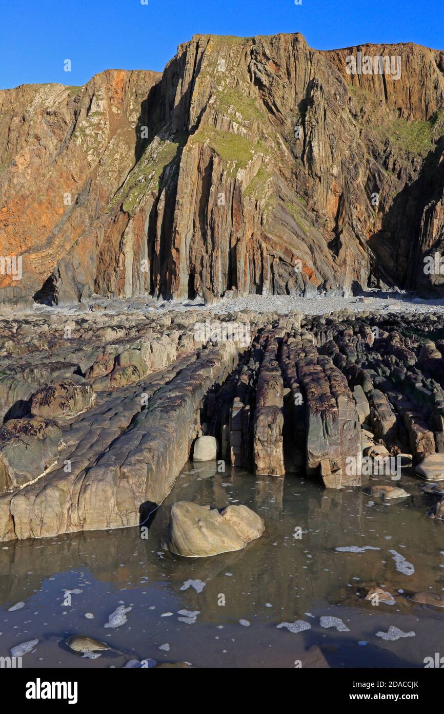 Felsvorsprünge und Sedimentgesteine in den Klippen von Sandymouth Cornwall Stockfoto
