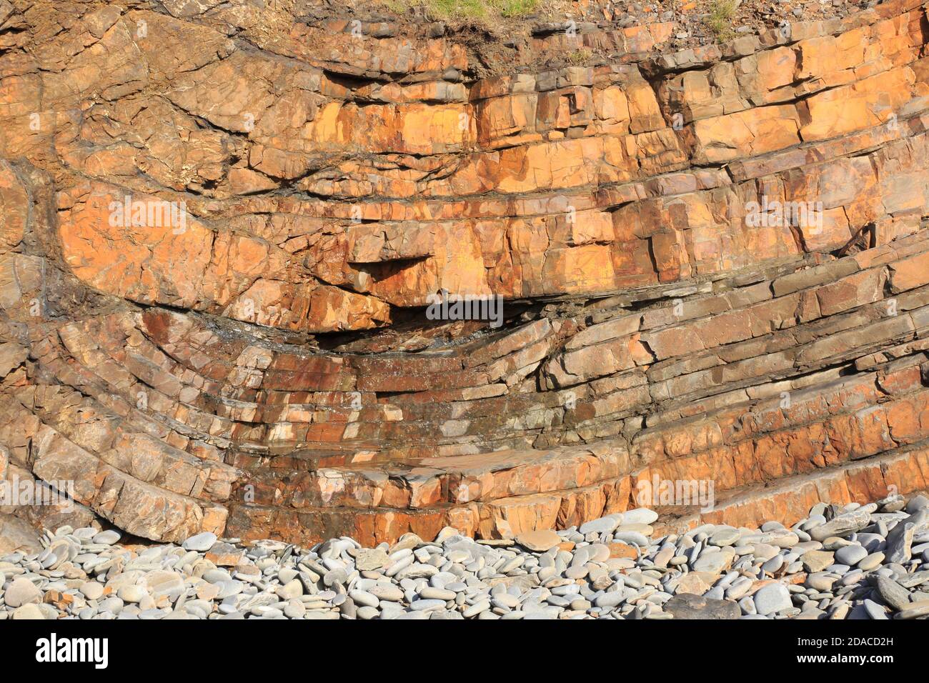 Nahaufnahme der orangefarbenen Sedimentgesteine bei Sandymouth Cornwall Stockfoto