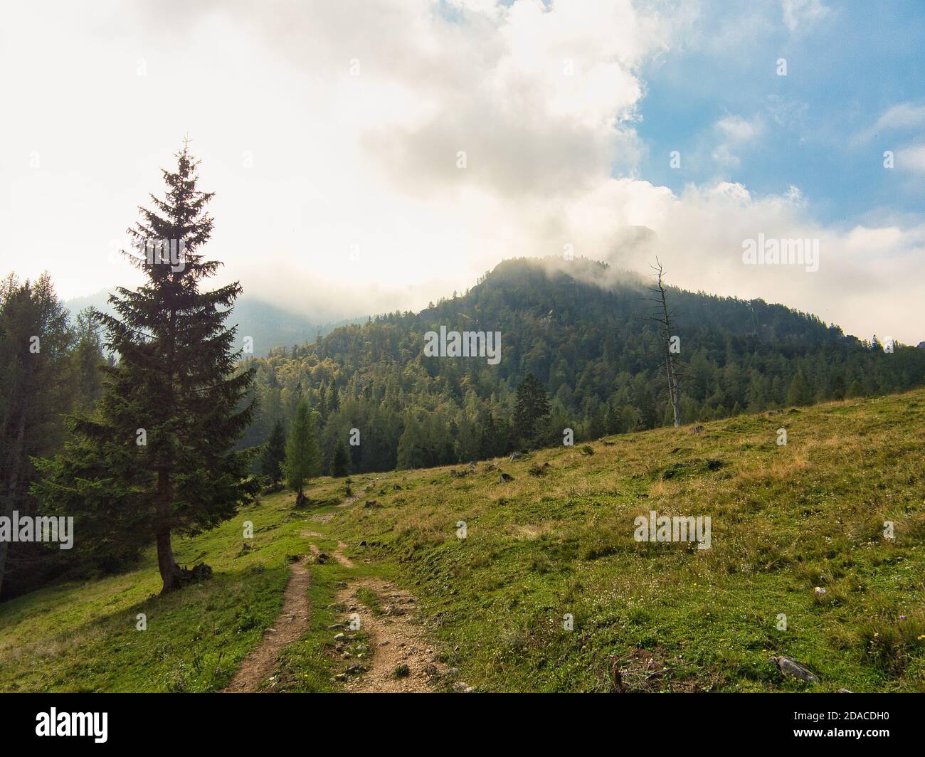 Grüne Wiesen und Wälder auf der Eisenau Alm im Salzkammergut Berge Stockfoto