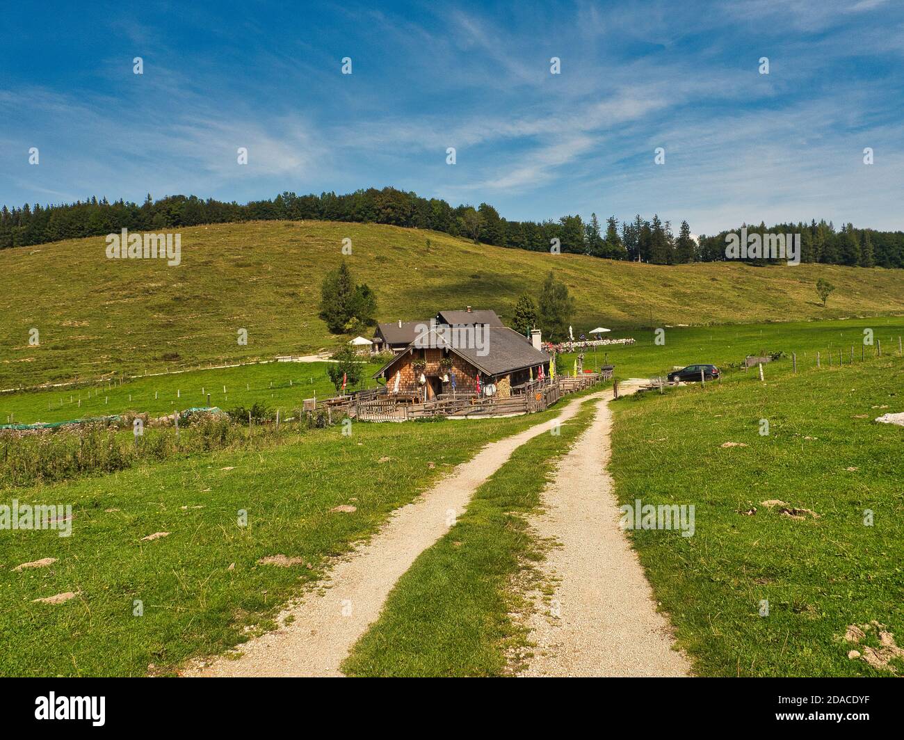 Grüne Wiesen und Wälder auf der Eisenau Alm im Salzkammergut Berge Stockfoto