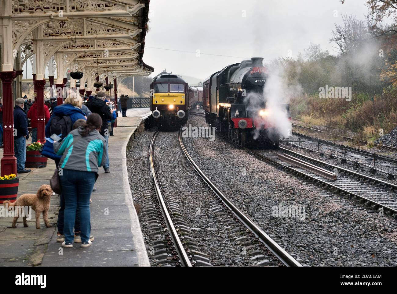 Hellifield Station, North Yorkshire. Die Menge beobachtet, wie die Dampflokomotive „Alberta“ wartet, um einen Spezialzug von einer Diesellokomotive zu übernehmen. Stockfoto