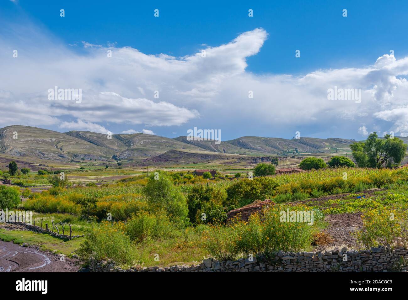 Landwirtschaftliche Landschaft in der Region Maragua, Departemento Sucre, Cordillera Central, Anden, Bolivien, Lateinamerika Stockfoto