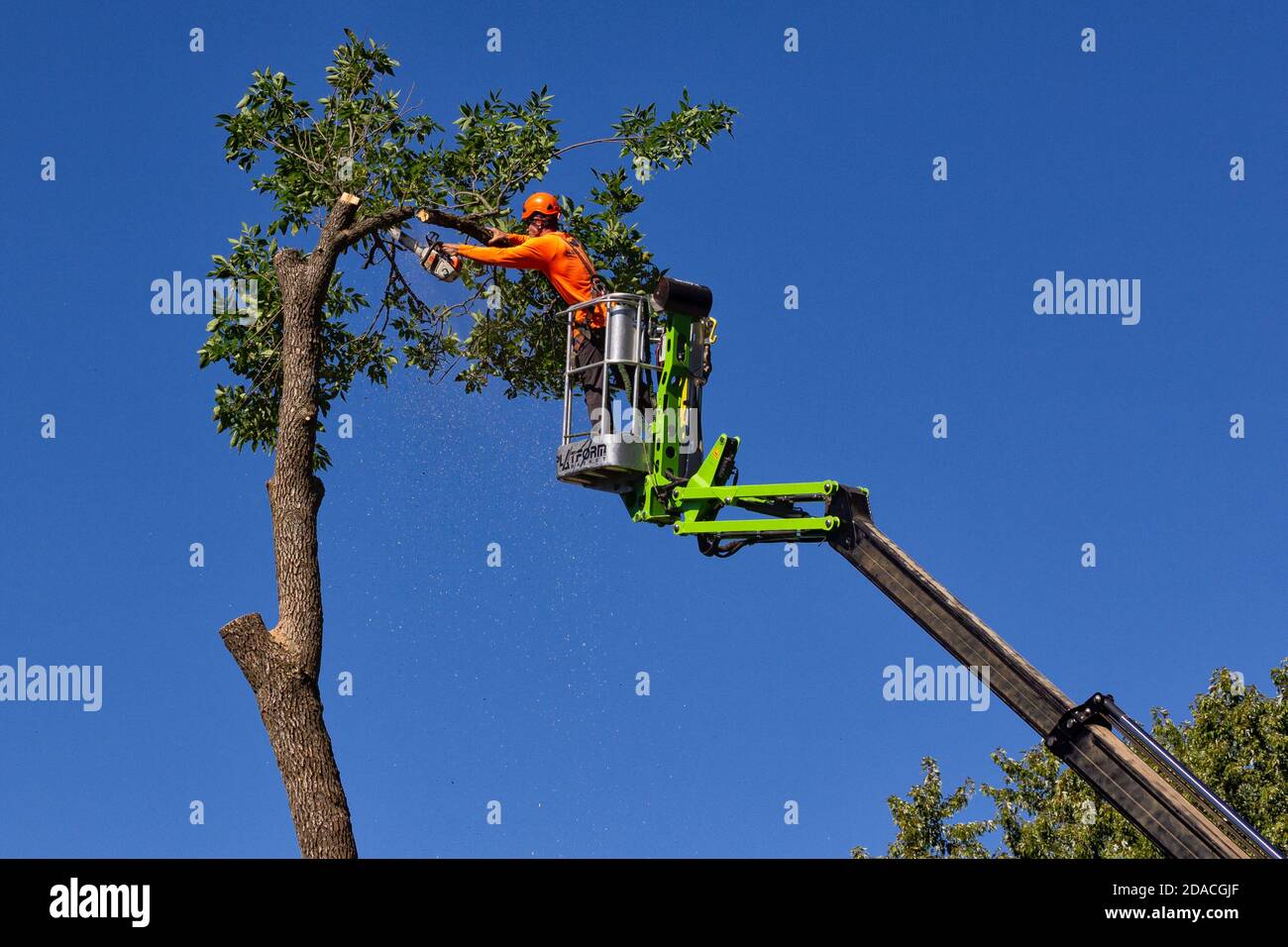 HUDSON, WI/USA - 19. SEPTEMBER 2020: Nicht identifizierte Person mit Kettensäge Schnittbaum von erhöhten Plattform. Stockfoto