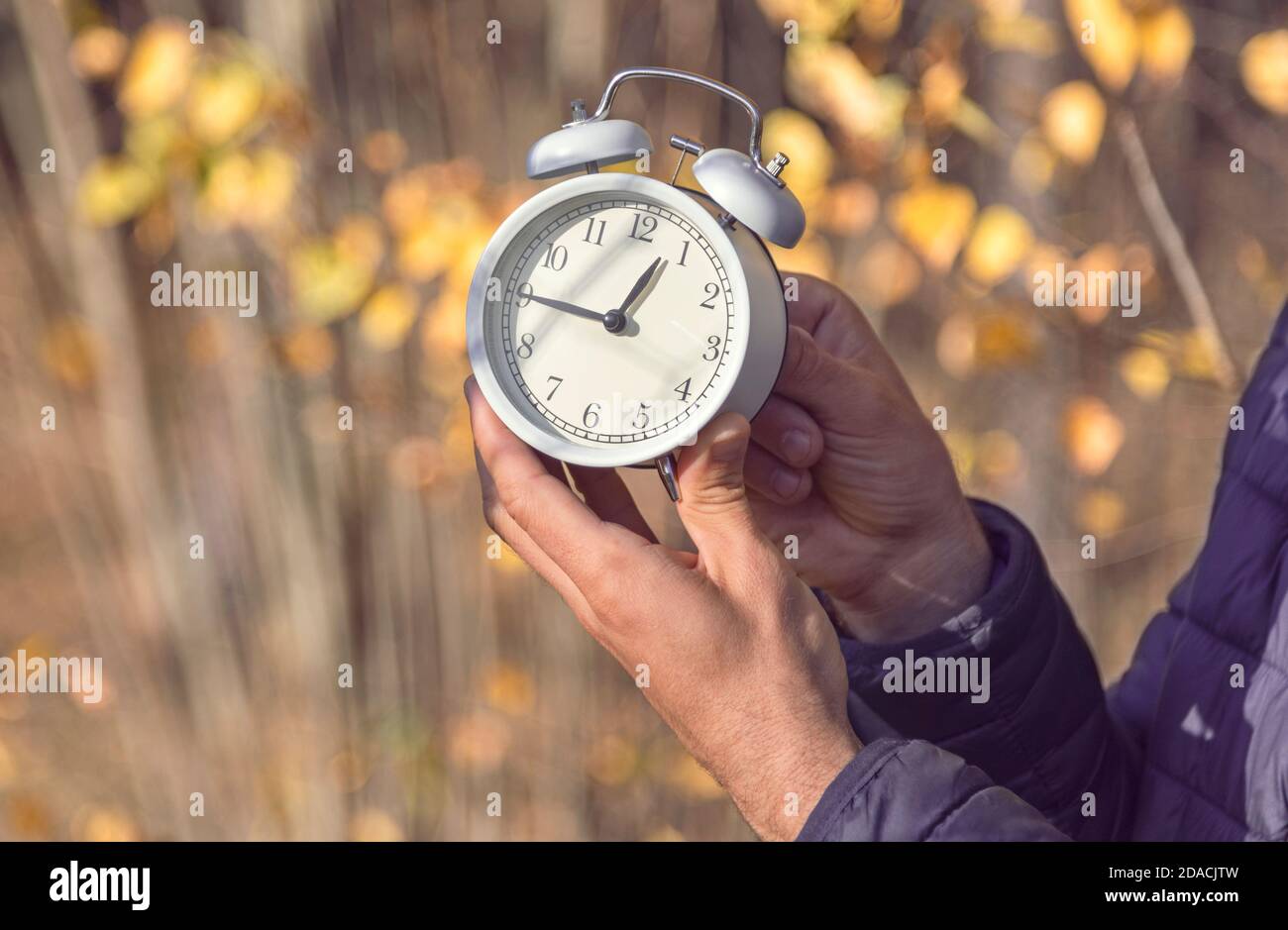 Person (nur Hände) Einstellen der Zeit auf weißen Wecker im Wald an sonnigen Herbsttag. Konzept der Sommerzeit Stockfoto