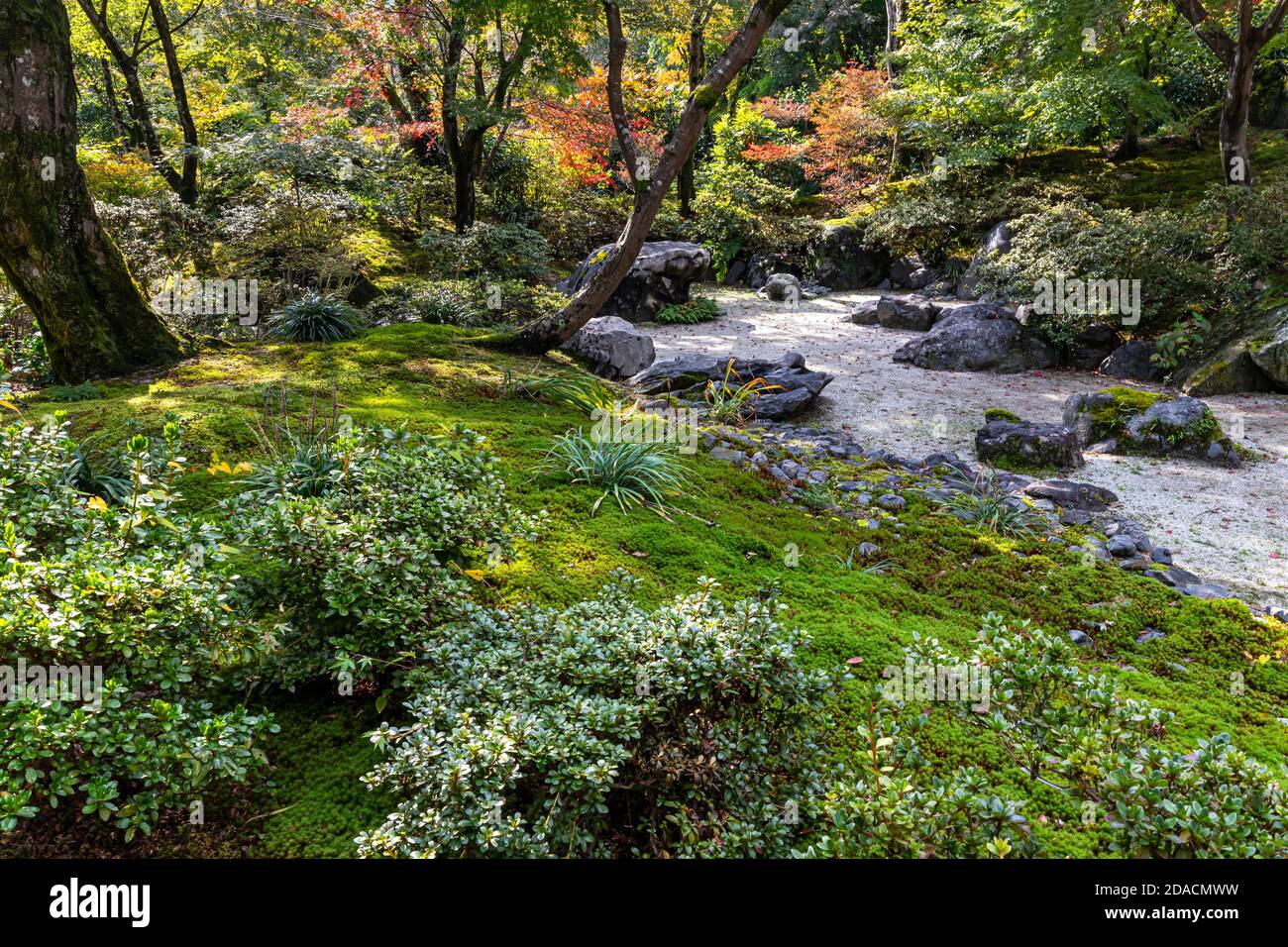 Hokyo-in Zen Garden - Houkyo-in befindet sich in Arashiyama Kyoto. Kaiser Shirakawa 1053-1129 ordnete seinen Bau an. Das interessante daran Stockfoto