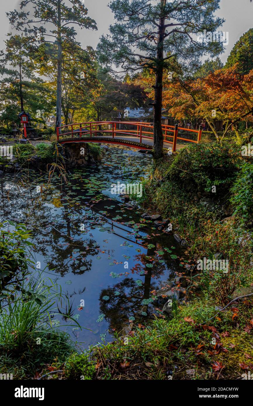 Oharano Shrine Pond - Oharano Shrine ist dem Fujiwara tutelaregott Amenokoyane gewidmet, der bei der Gründung Japans mitgeholfen haben soll. Das Schrumpfen Stockfoto