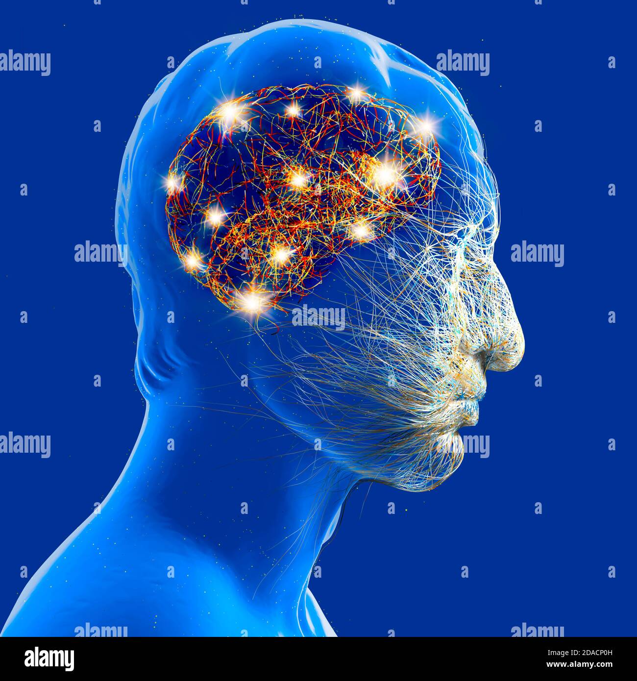 Neurologie, Philosophie: Verbindungen, die Entwicklung des Denkens und der Reflexion, die unendlichen Möglichkeiten von Gehirn und Geist. Menschliche Anatomie. Stockfoto