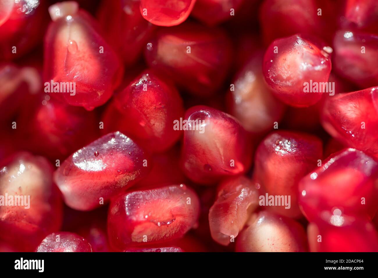 Rote Granatapfel Nahaufnahme, saftige rote Früchte bereit zu essen, gesunde Lebensmittel, Früchte voller Vitamine. Stockfoto
