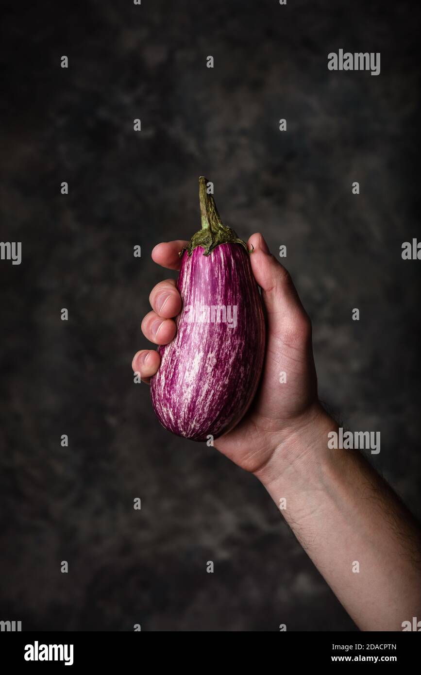 Lila Aubergine in der Hand Stockfoto