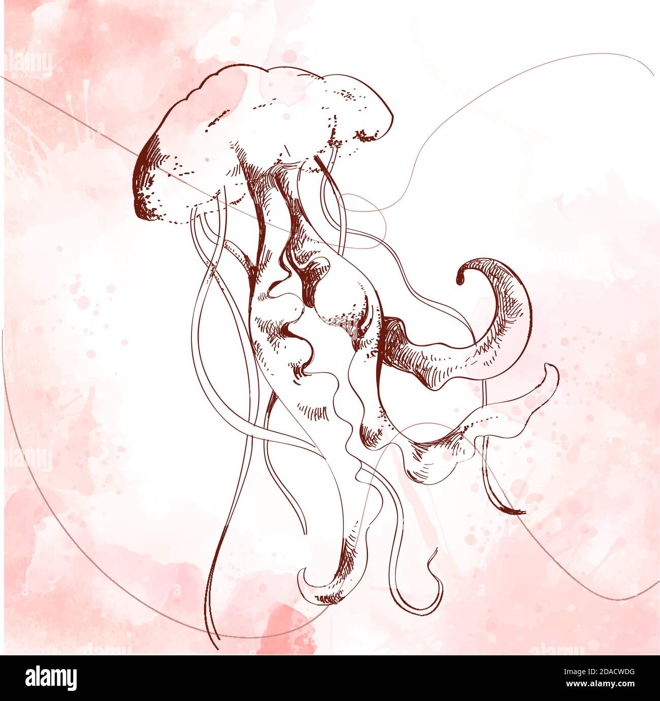 Vektor-Illustration einer Qualle in einem grafischen Stil, Skizze auf  Aquarell - Tattoo-Vorlage oder Substrat für Ihr Banner auf dem Thema Marine  Stock-Vektorgrafik - Alamy