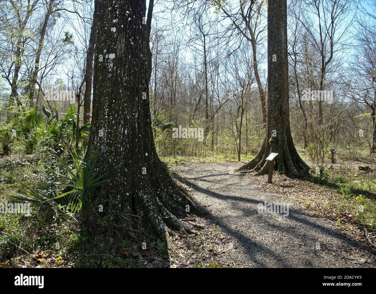 Blick auf den Burden Woods Park in Baton Rouge, Louisiana, USA Stockfoto