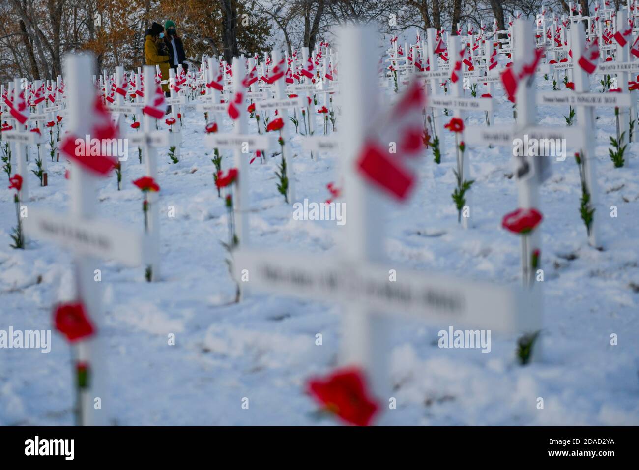 Calgary, Alberta, Kanada. November 2020. Am Gedenktag am 11. November, am Field of Crosses Memorial in Calgary, Alberta, laufen die Mitglieder der Öffentlichkeit durch Kreuzreihen. Das Feld der Kreuze ist ein jährliches Denkmal, das die fast 120,000 kanadischen Veteranen anerkennt, die seit 1914 in Kriegen ihr Leben verloren haben. Quelle: Gavin John/ZUMA Wire/Alamy Live News Stockfoto