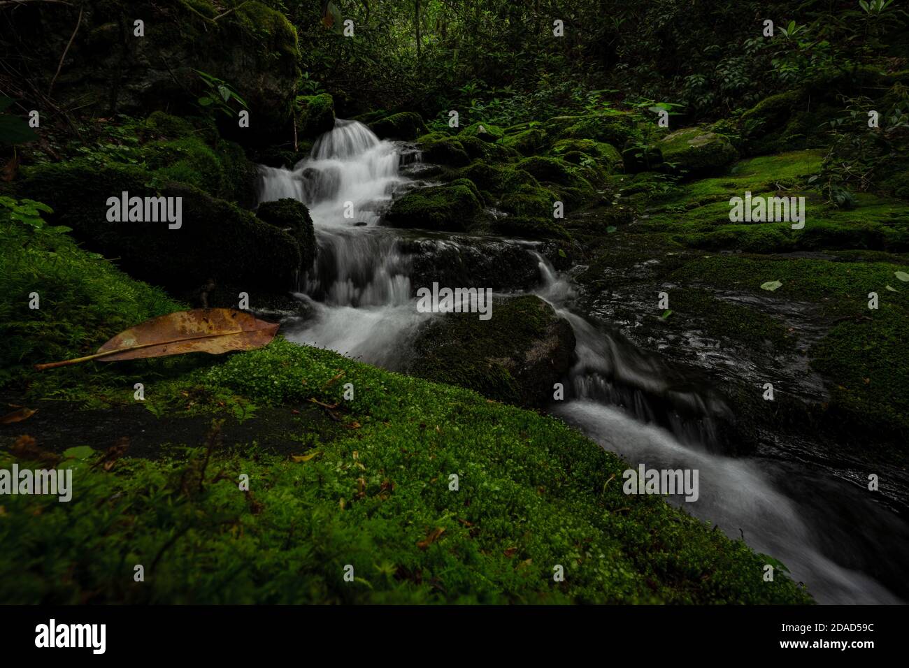 Letztes Blatt links vom Fall unter bewegtem Bach Stockfoto