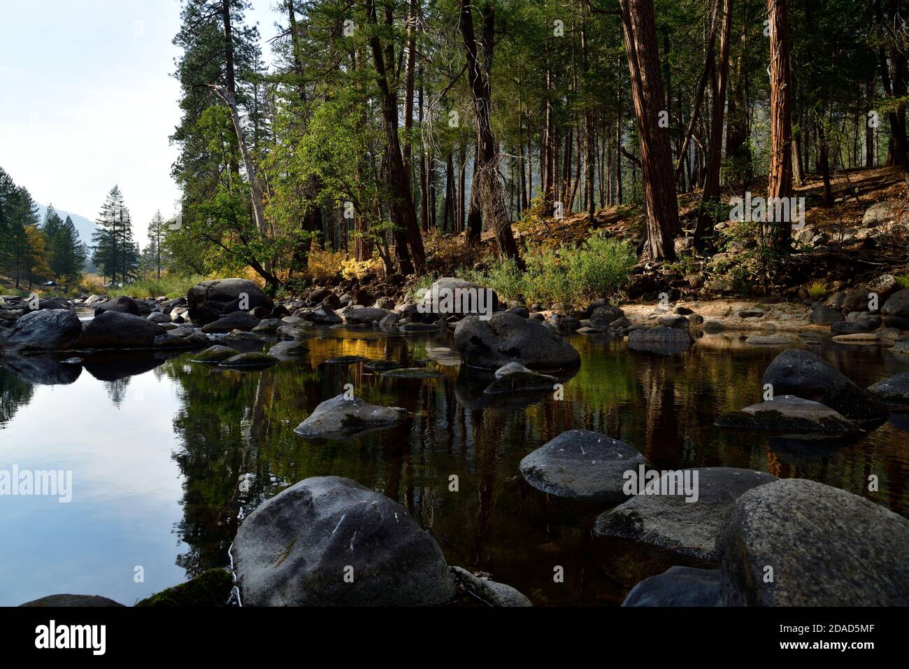 Herbstfarben im Yosemite National Park Stockfoto