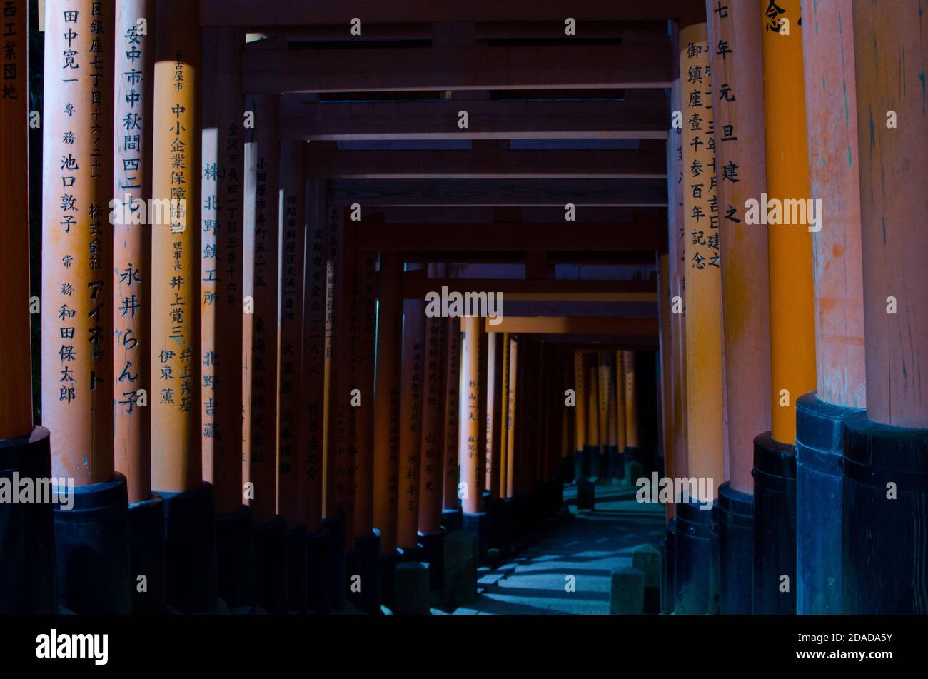 Ein gemütlicher Spaziergang durch die tausend Tore, Fushimi Inari-Taisha in Kyoto, Japan. Stockfoto