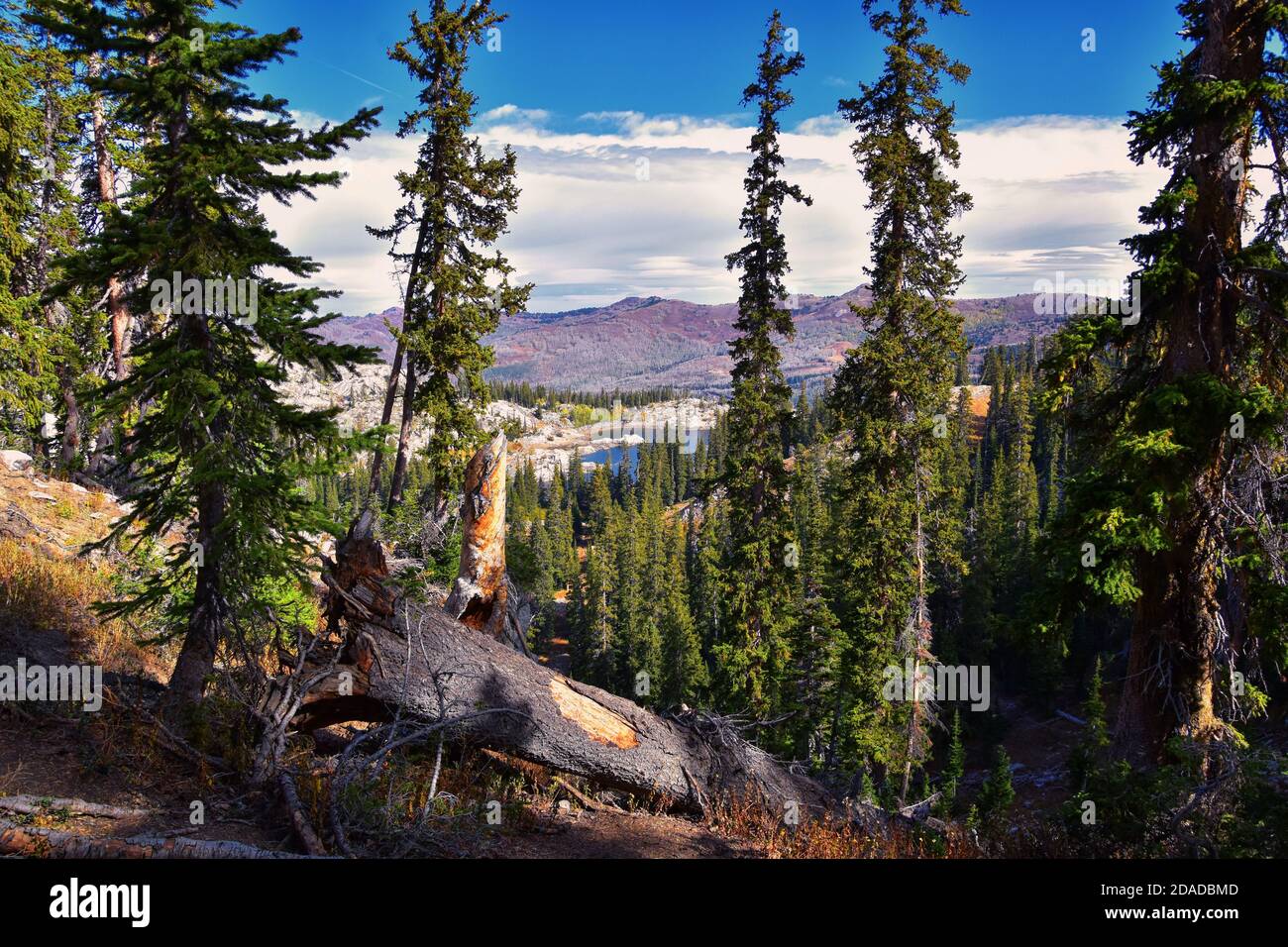 lake-mary-marth-catherine-panoramablick-vom-wanderweg-zum-sunset-peak