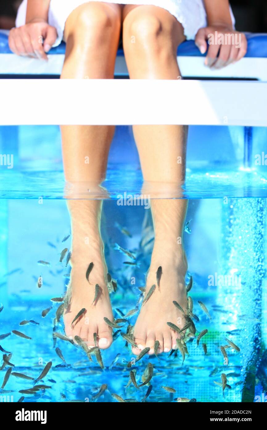 Fish Spa Pediküre Stockfoto