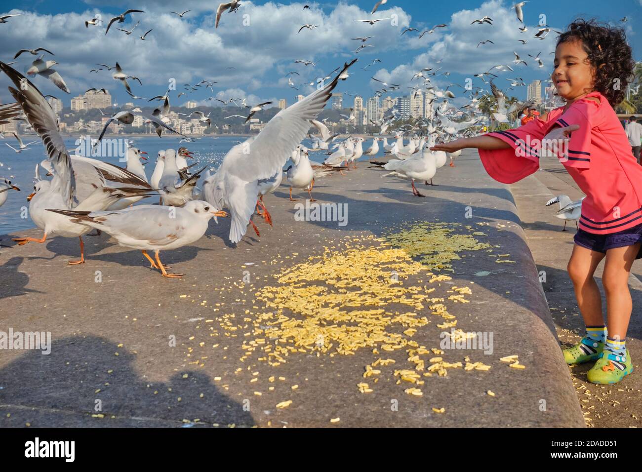 Ein kleines indisches Mädchen füttert wandernde Möwen aus Sibirien, die die Wintermonate in Indien verbringen; am Marine Drive, Mumbai, Maharashtra, Indien Stockfoto