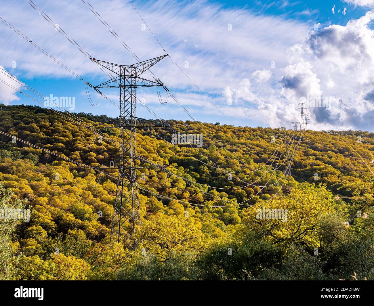 Stromturm in einem Herbstwald bei Sonnenuntergang. Energiekonzept Ökologie. Stockfoto