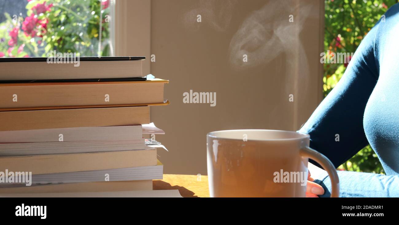 Frau, die an einem Tisch sitzt und einen Stapel Bücher mit einer heißen Tasse Kräutertee betrachtet. Natürliches Sonnenlicht, das durch die Fenster hineinströmt. Stockfoto