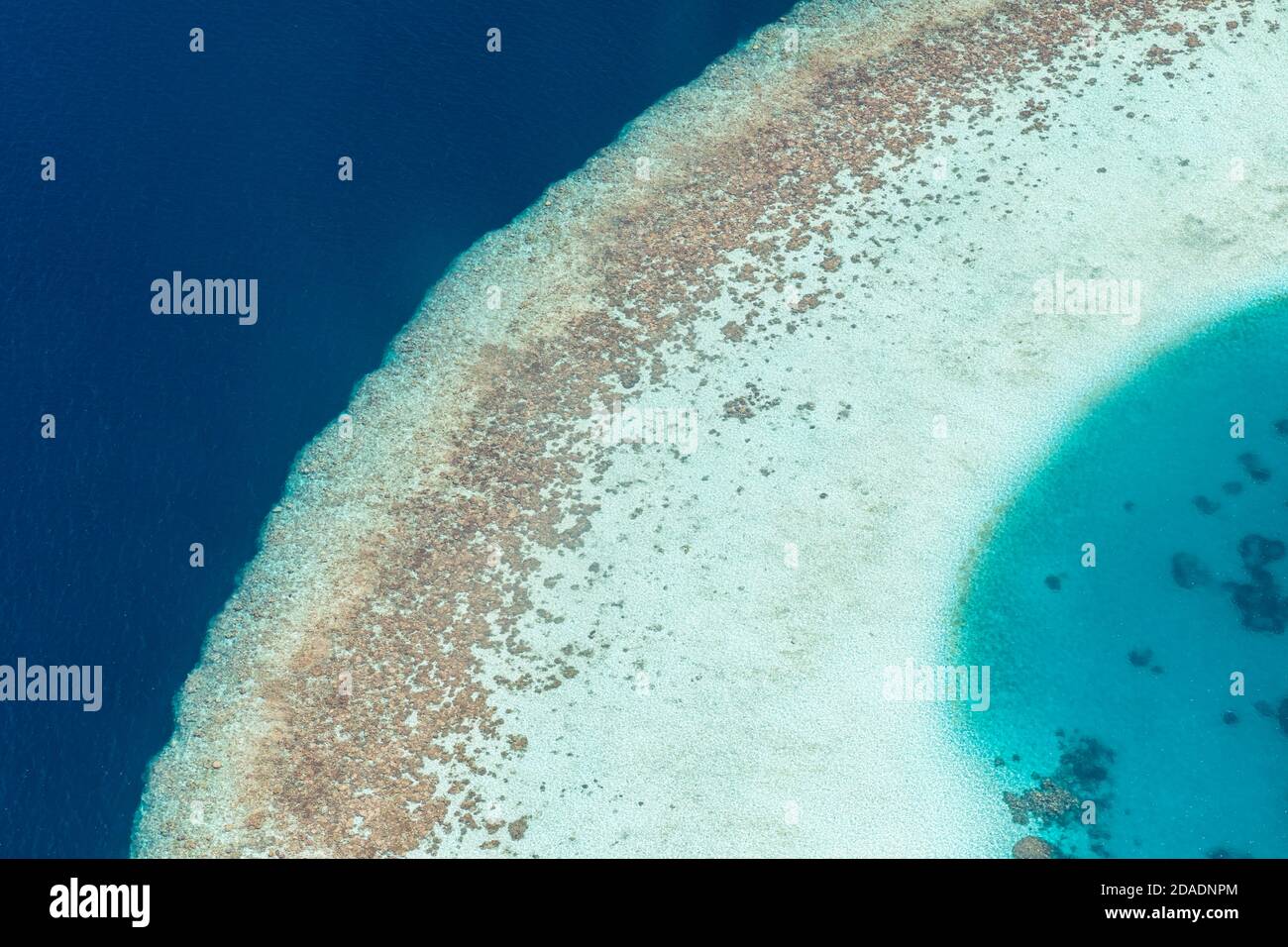 Wunderschöne tropische Insel. Luftaufnahme auf tropischen Inseln, Drohne, Flugbild vom Korallenriff-Atoll auf den Malediven. Exotische Reise Natur Ziel Stockfoto