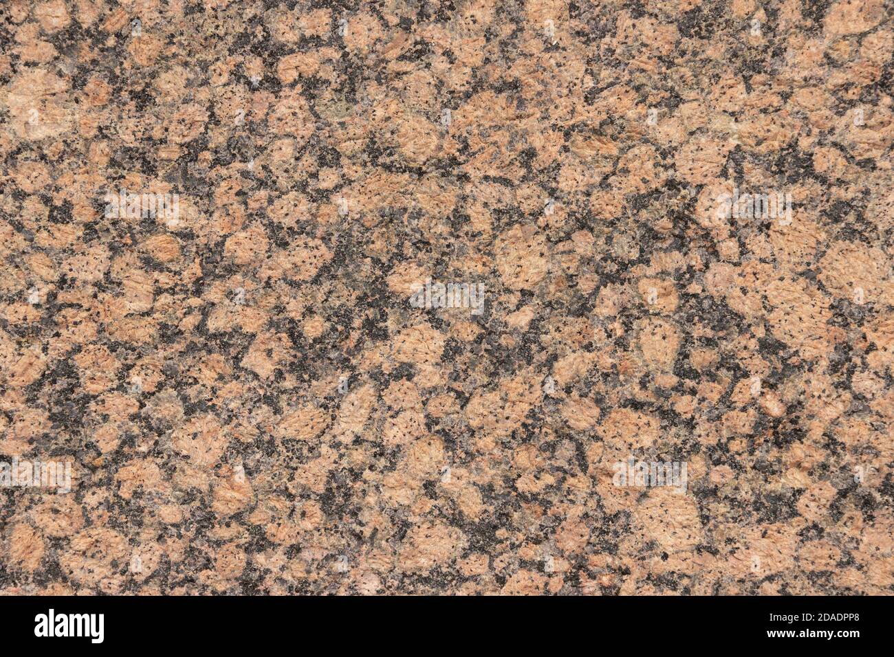 Die Textur einer bunt gesprenkelten polierten Marmorplatte. Stockfoto