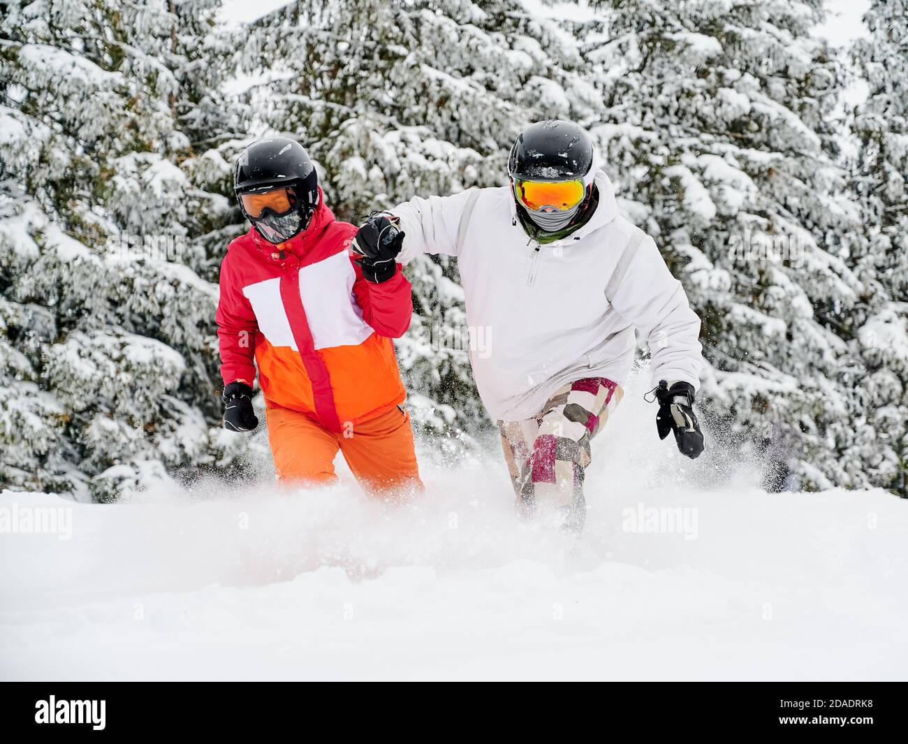 Junges Paar Touristen spielerisch fallen in Schnee vor entzückenden Fichtenwald im Hintergrund. Lebendige bunte Anzüge auf weißem Schnee. Europäisches Skigebiet im Winter Stockfoto