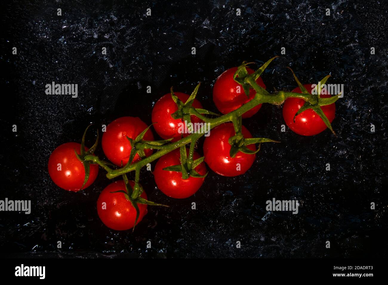 Tomatenrebe auf dem schwarzen Eis. Stockfoto
