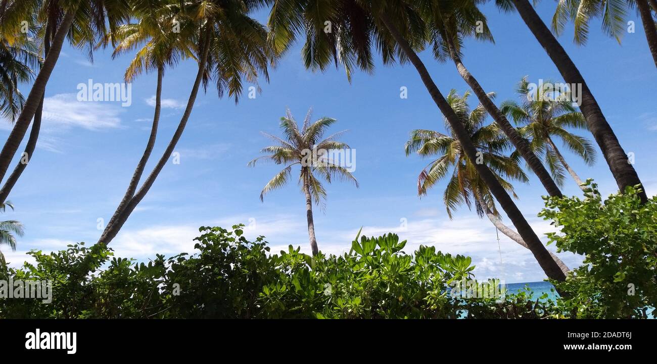 Die wunderschöne Insel Maafushi auf den Malediven Stockfoto