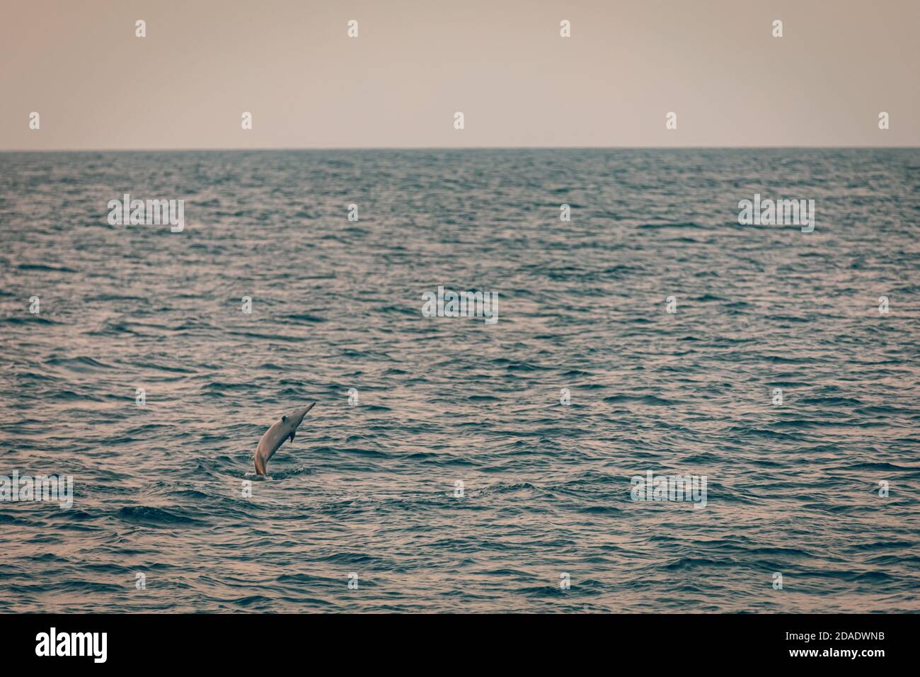 Wunderschöner Sonnenuntergang über dem tropischen Meer. Schöne Landschaft im Freien Meer Meer und Strand bei Sonnenaufgang oder Sonnenuntergang. Idyllisch entspannende Ökologie, endloser Ozean Stockfoto