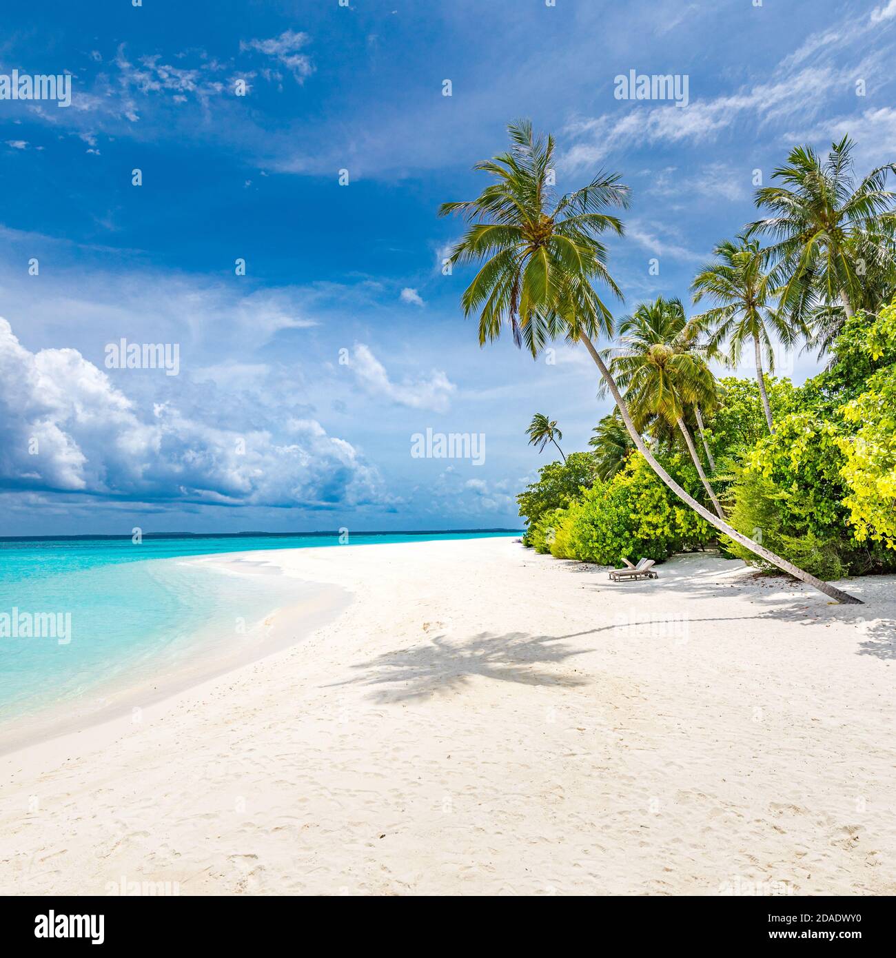 Malediven Paradies tropischer Strand. Tolle Aussicht, blautürkisfarbenes Lagunenwasser, Palmen und weißer Sandstrand. Luxus Reise Urlaubsziel Stockfoto