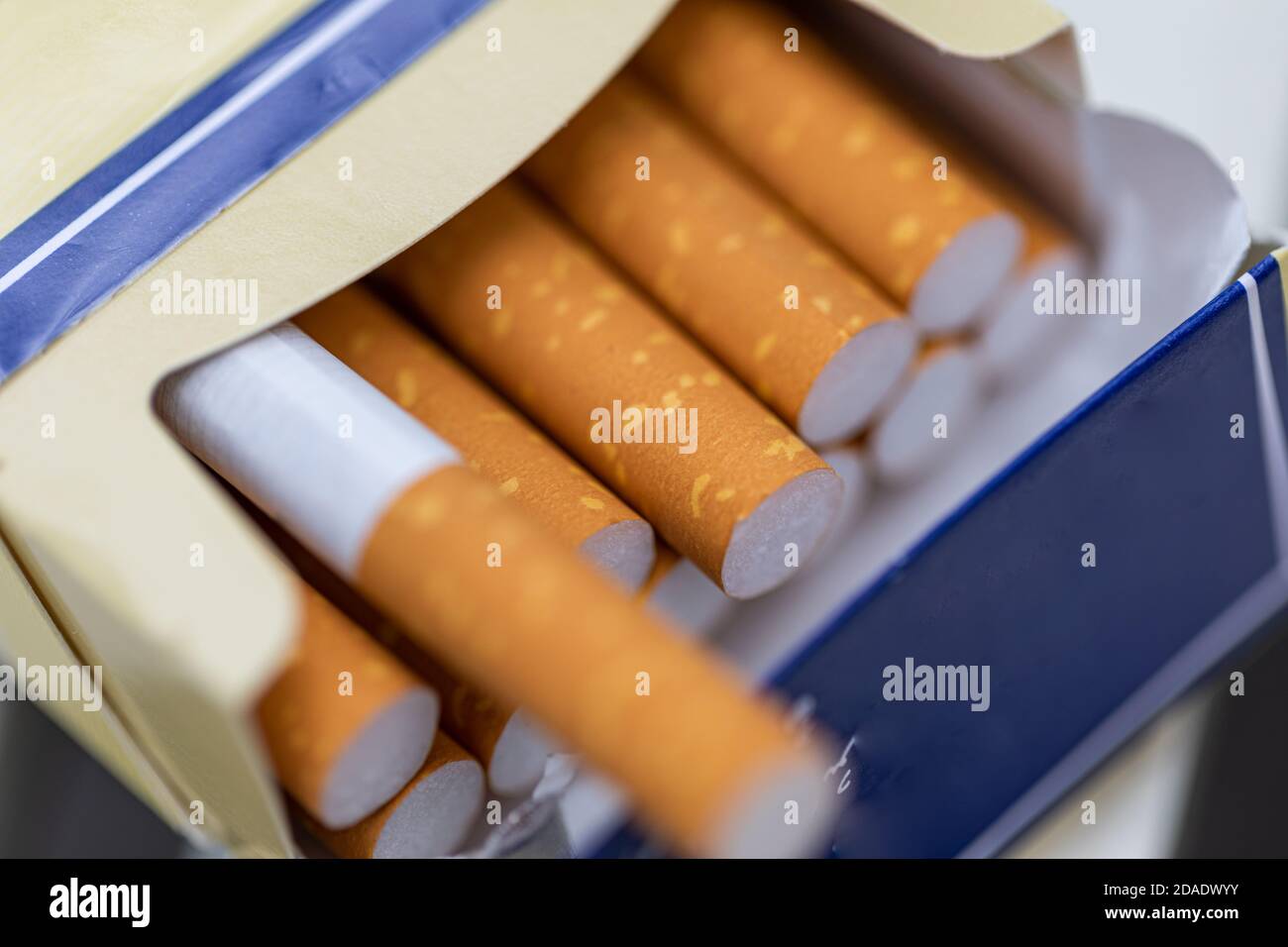 Schachtel voller Zigaretten. Zigarettenpackung auf weißem Hintergrund öffnen. Gesundheitliche Probleme, Krankheiten, schlechte Gewohnheiten Stockfoto