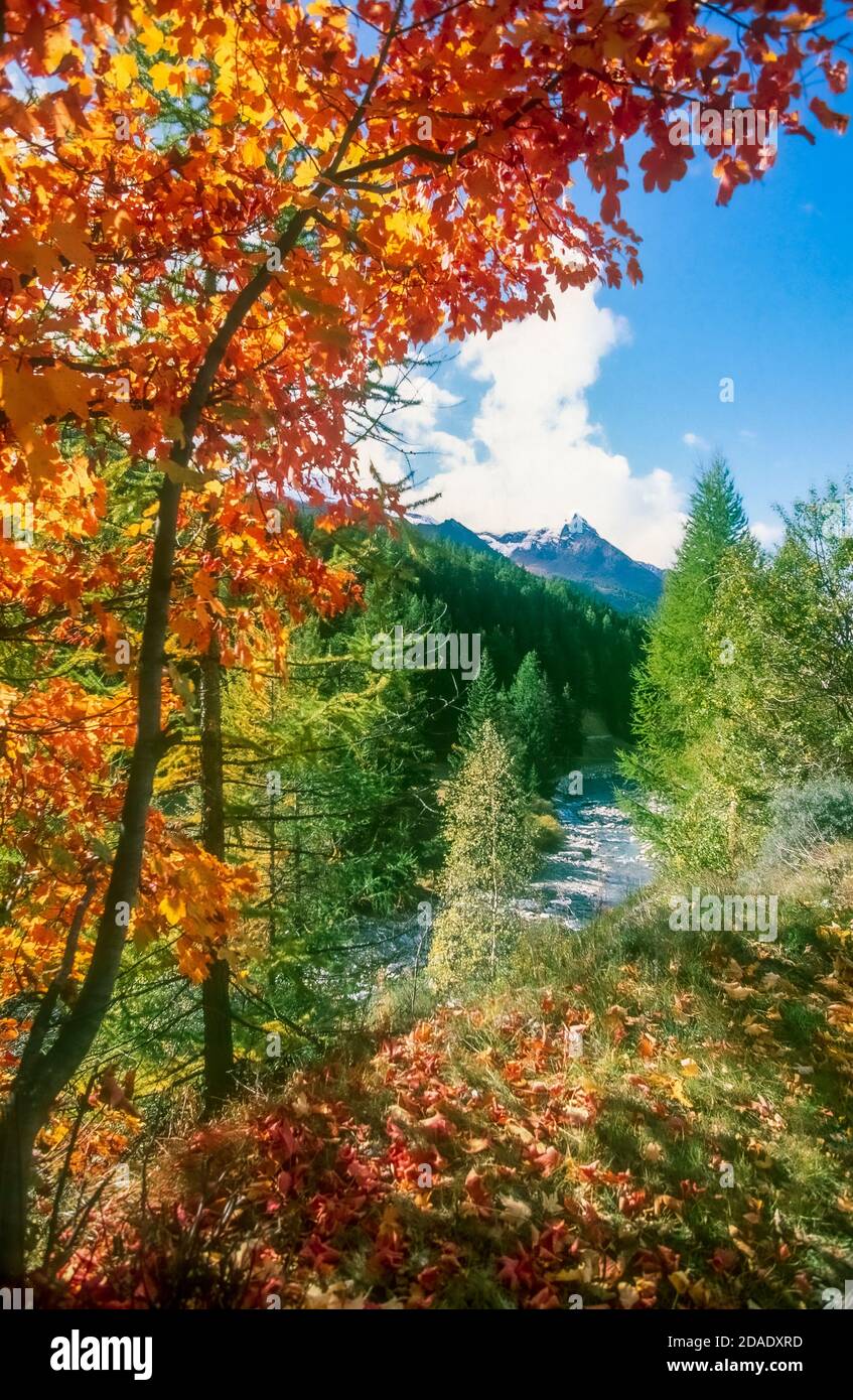 Italien Aostatal - Val di Cogne - Landschaft mit River Grand Eyvia Stockfoto