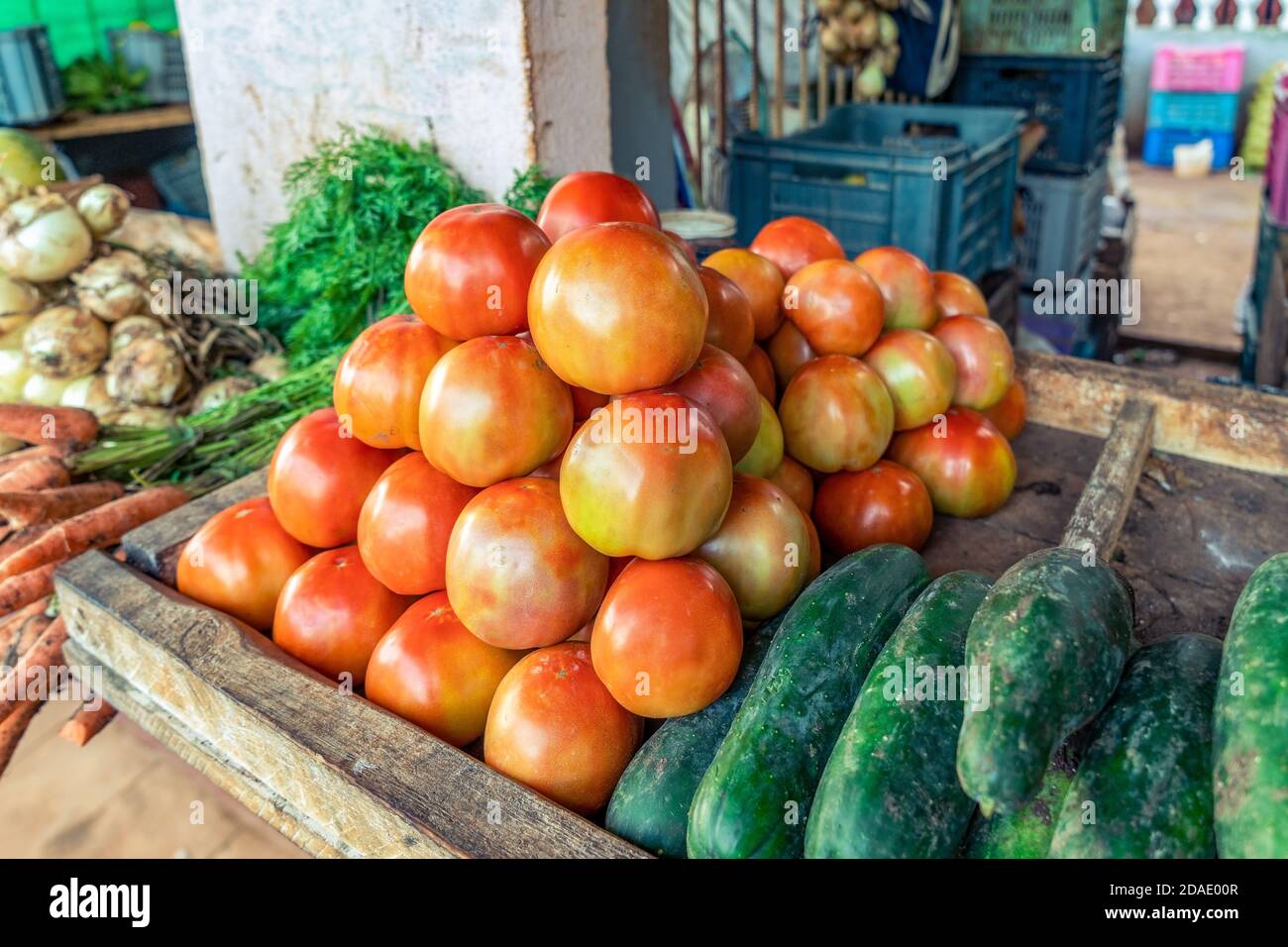 Ordentliche Gruppe von roten Tomaten und Gurken an einem Stall Stockfoto