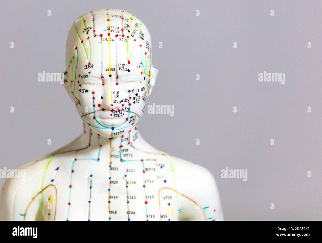 Selektive Fokusaufnahme eines Dummys mit Akupunkturpunkten und Meridiane Stockfoto