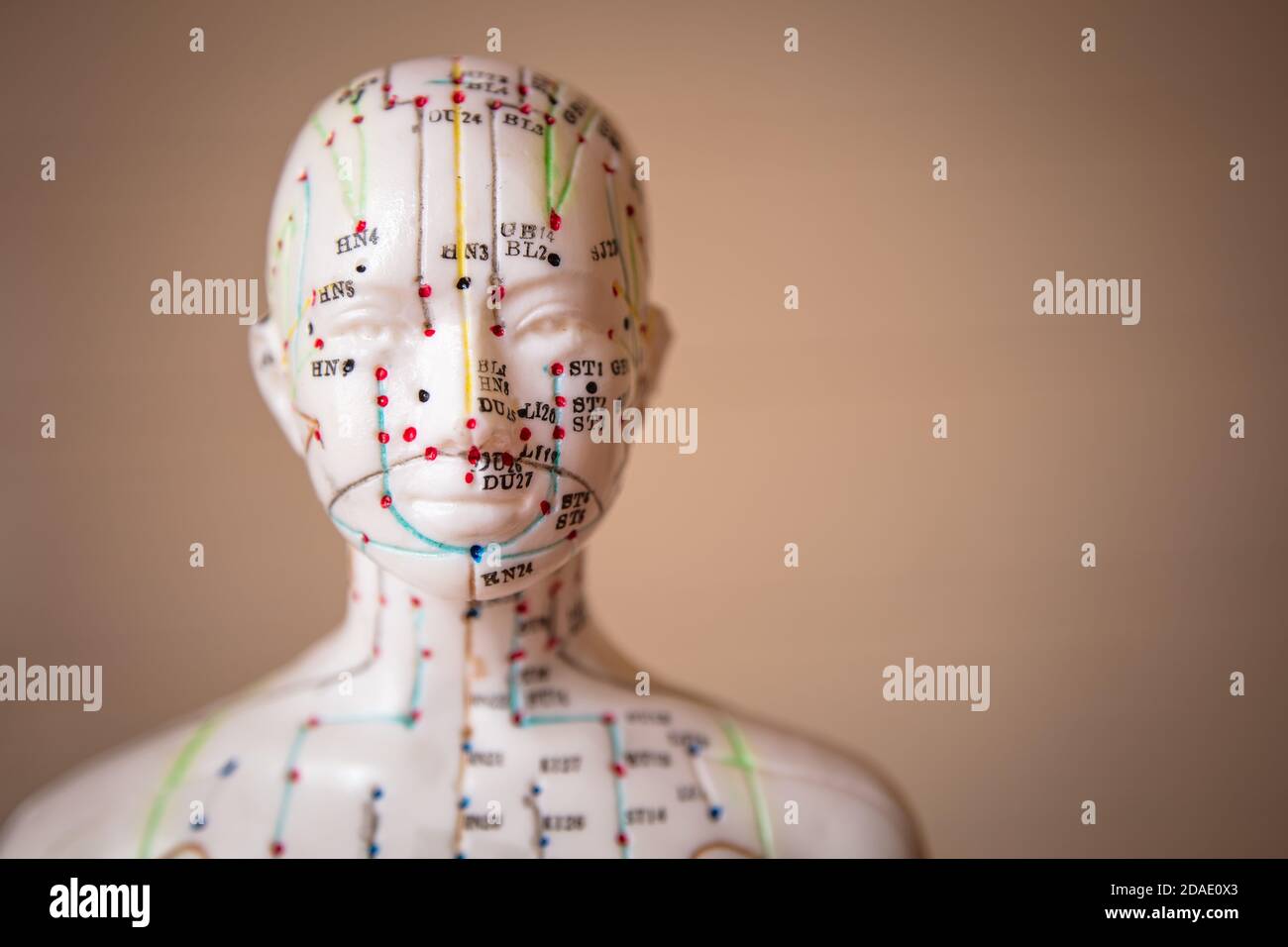 Selektive Fokusaufnahme eines Dummys mit Akupunkturpunkten und Meridiane Stockfoto