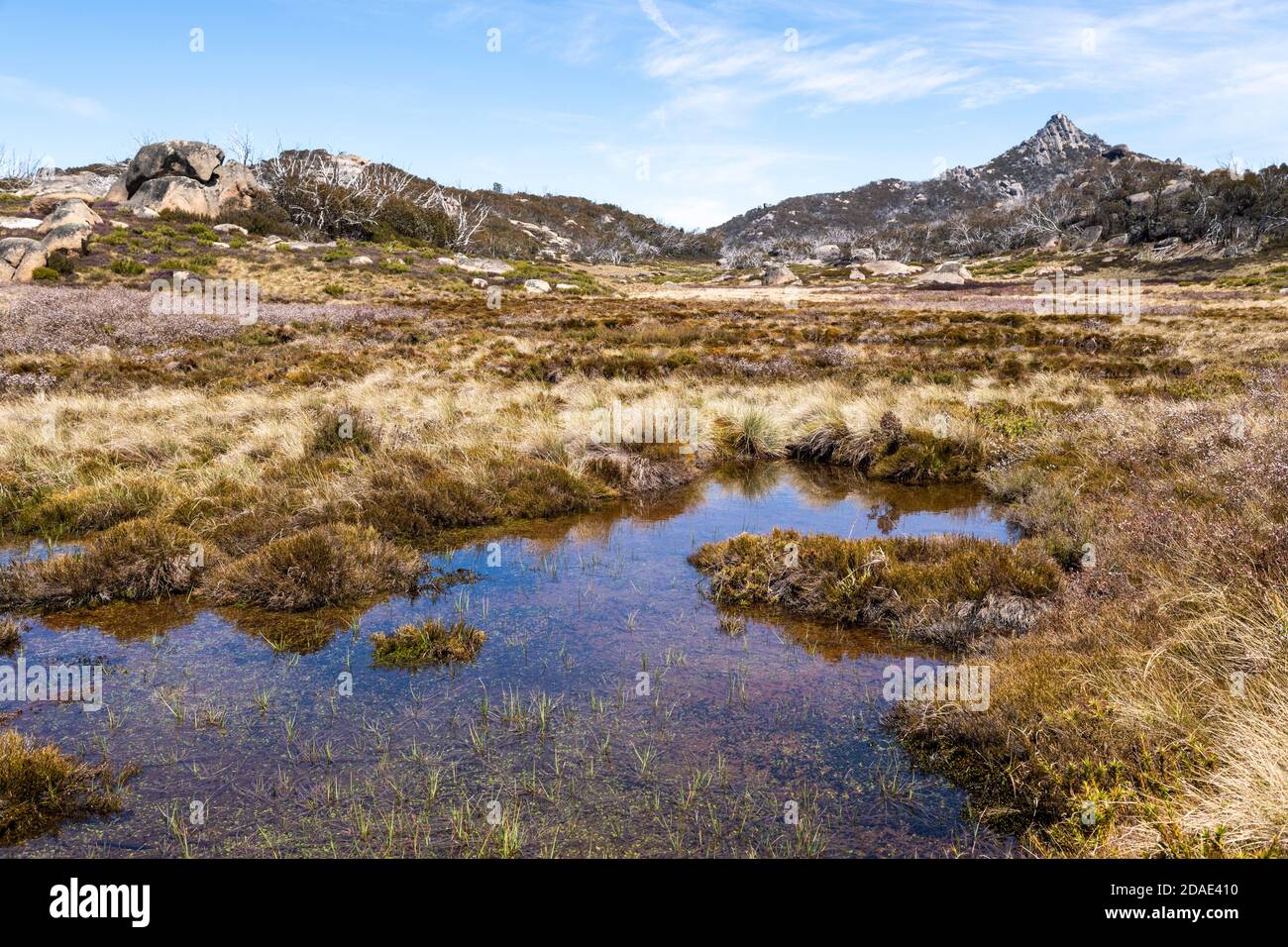 Kleiner Teich im Mt Buffalo National Park. Stockfoto