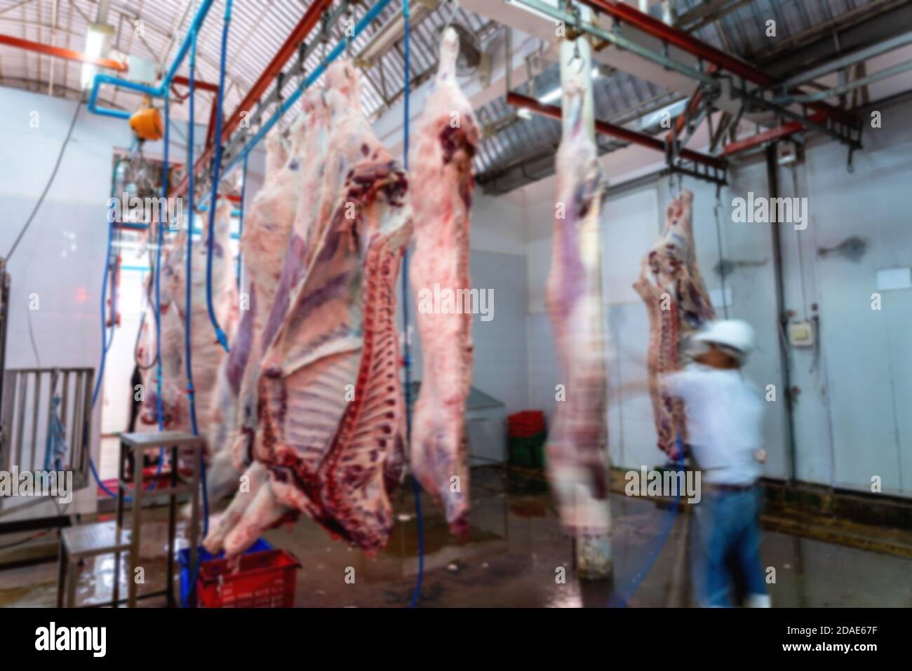 Verschwommen von Metzgereien arbeitet in einem Schlachthof, Fleisch schneidet frisch und gehängt an Haken in einem Schlachthof, Fleischindustrie Stockfoto