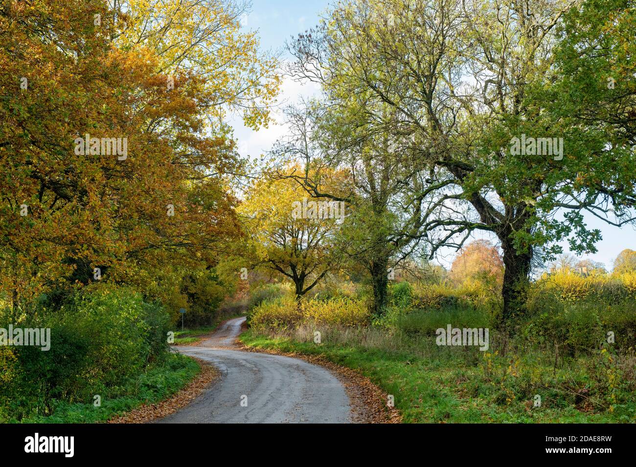 Herbst oxfordshire Land. Cornwell, Oxfordshire, Cotswolds, England Stockfoto