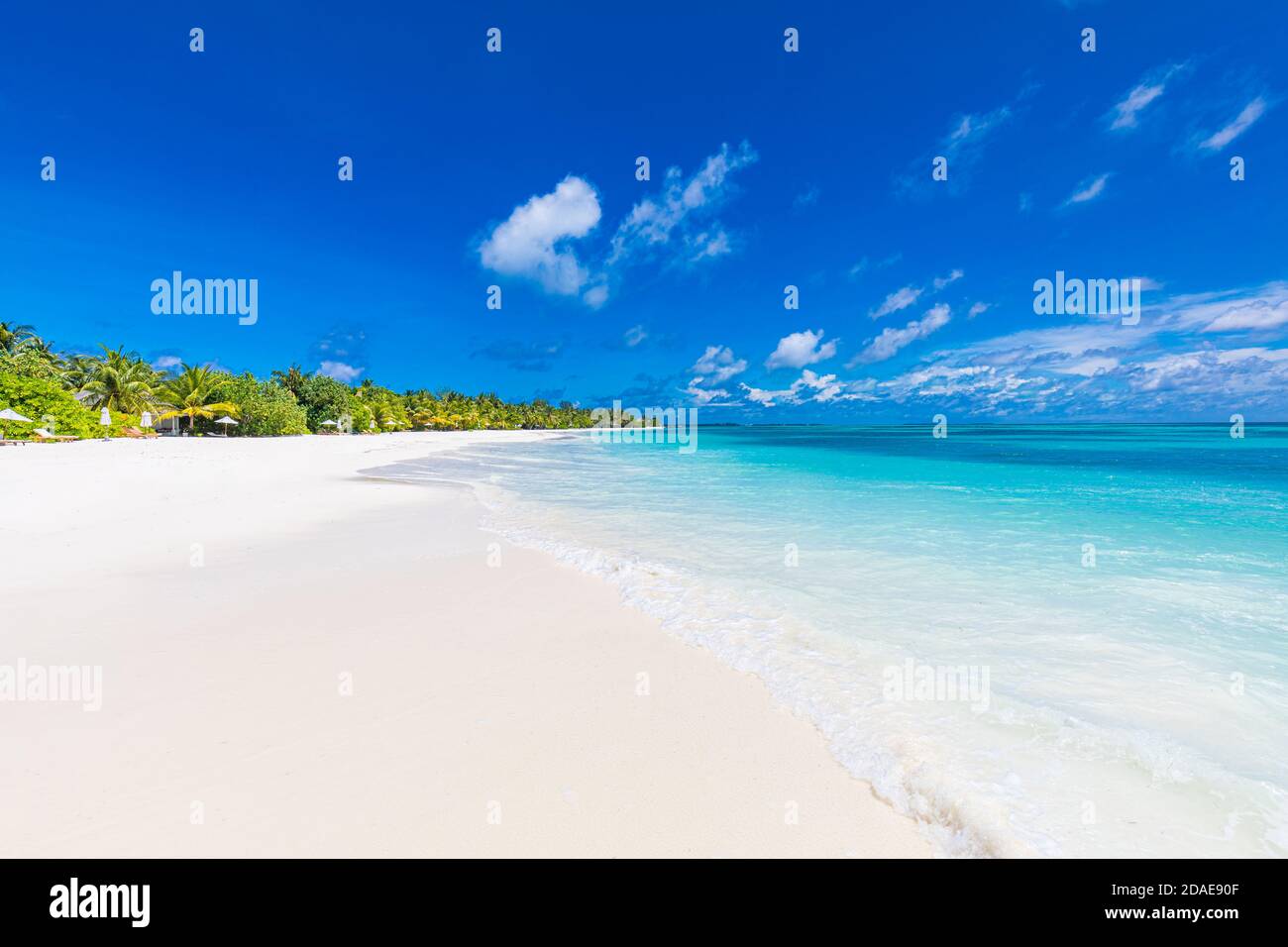 Wunderschöne Strandpalmen und launischer Himmel. Sommerurlaub Reise Urlaub Hintergrund Konzept. Malediven paradiesischer Strand. Luxusreisen Sommerurlaub Stockfoto