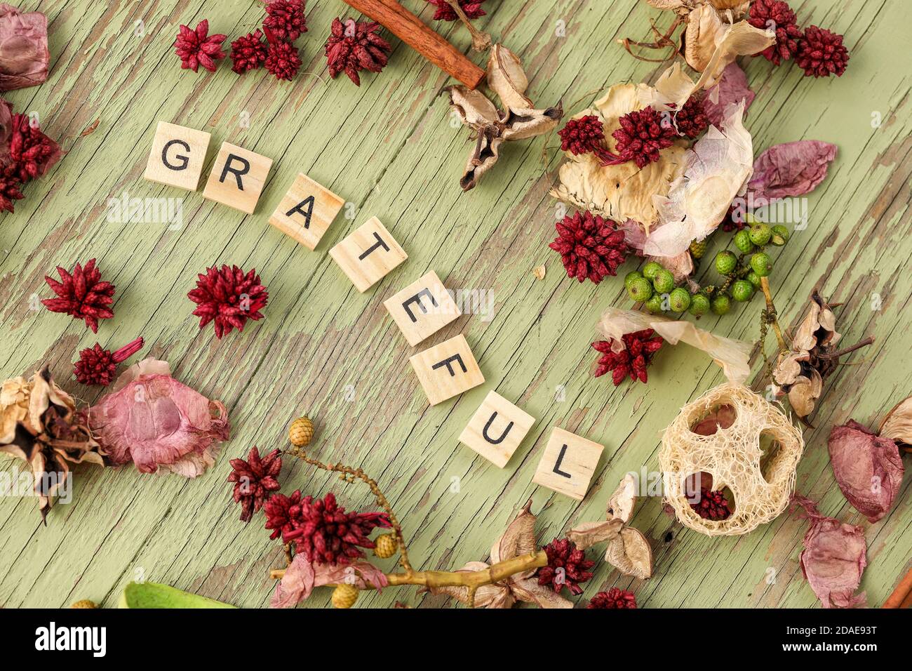 Eine Grenze von verschiedenen getrockneten Blumen rund um Holzbuchstaben Schreibweise Das Wort dankbar Stockfoto