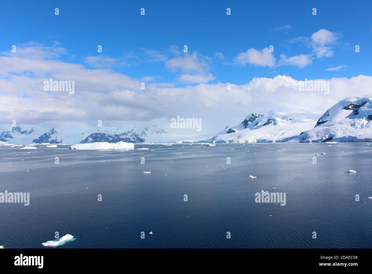 Eisberge und Berge in Paradise Bay an der Danco Küste, Antarktis Stockfoto