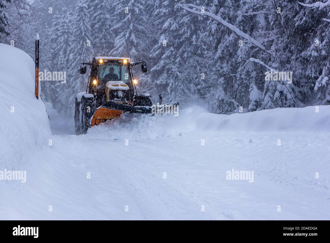 Schneepflug Rodungsstrae whrend Schneesturm in Filzmoos (sterreich  Stockfotografie - Alamy